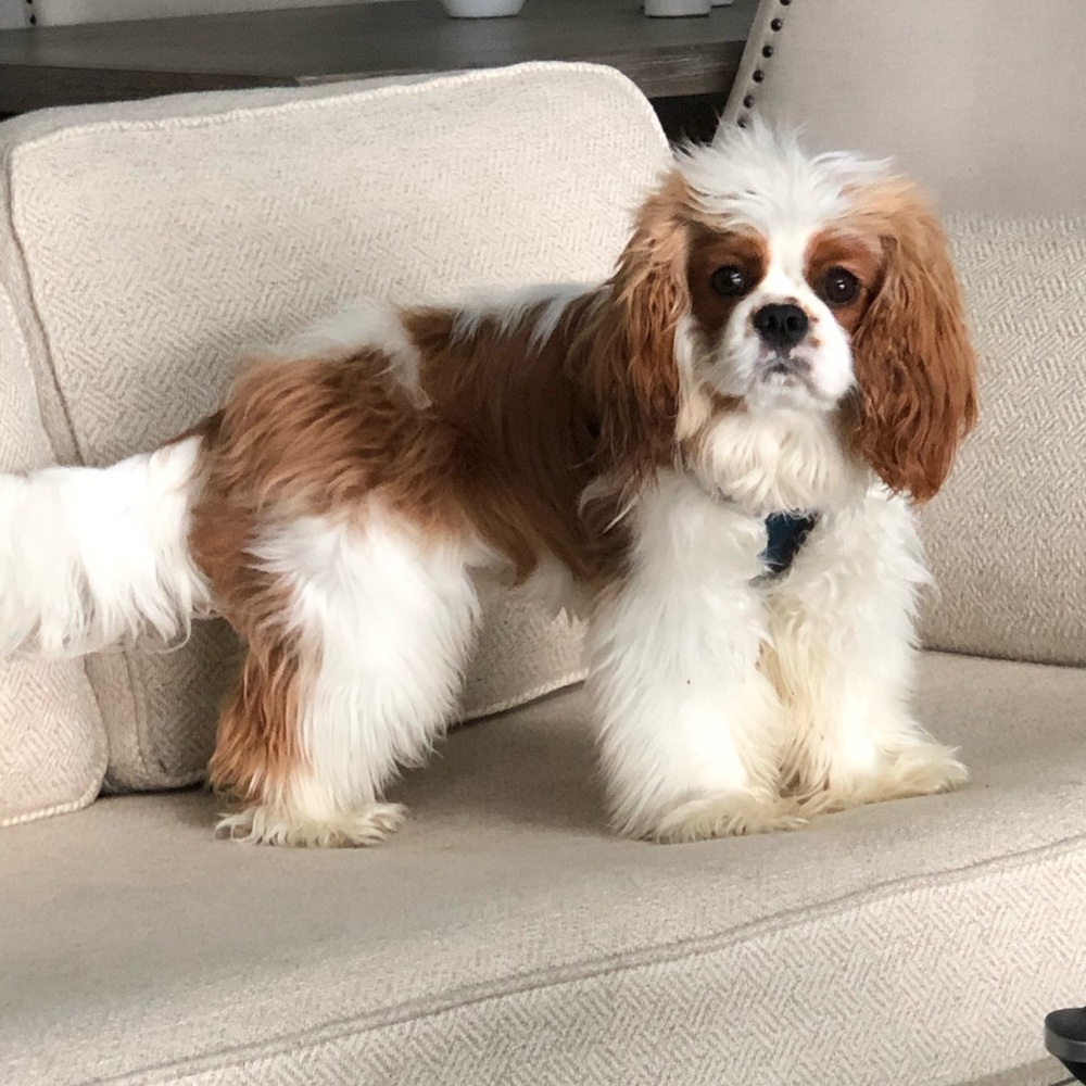 My baby Remy ๐ถ๐ท - Picture 10 of 16